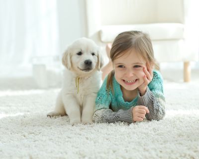 Doorway Carpet Repair - Carpet Repair Pros Stuart, Virginia