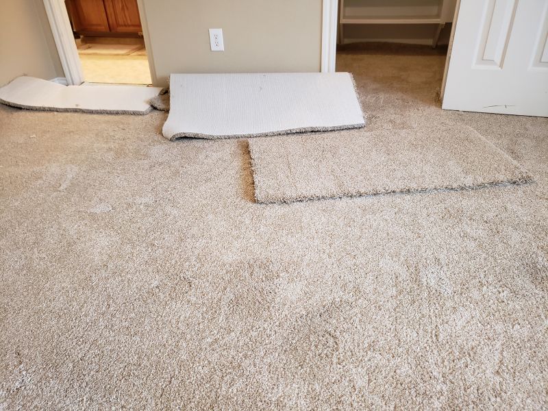 Carpet Seam Repair in Overland Park, KS